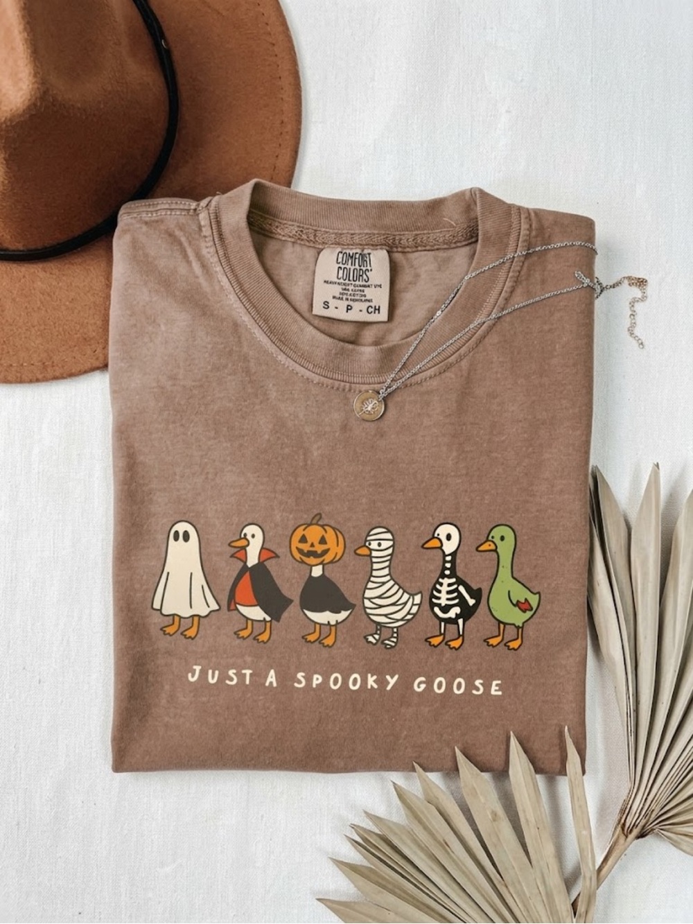 Comfort Colors Espresso "Just a Spooky Goose" Halloween Tee